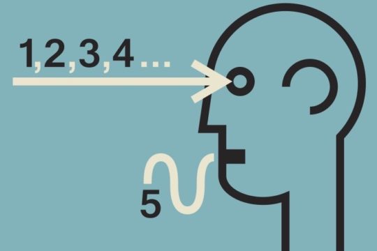an outline of a head with a row of numbers pointing into it